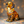 Buddy Golden Retriever Radiante