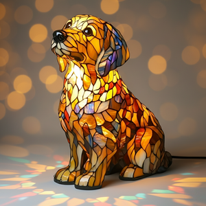 Buddy Golden Retriever Radiante