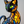 Felino Elegante