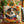 Bolso artesanal - Jack Russell con Libros y Flores