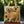 Bolso artesanal - Golden Retriever