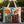 Bolso acolchado - Dragón Esmeralda, Guardián de los Libros