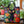 Bolso acolchado - Gato Negro Encantado