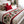 Camino de Cama Acolchado – Abetos Festivos