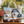 Bolso acolchado · Husky