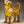 Labrador Transparente