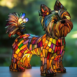 Yorkshire Terrier Radiante