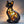 Gato Radiante a Medianoche